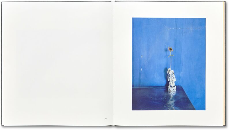 Alec Soth 'I Know How Furiously Your Heart is Beating' - Image 17