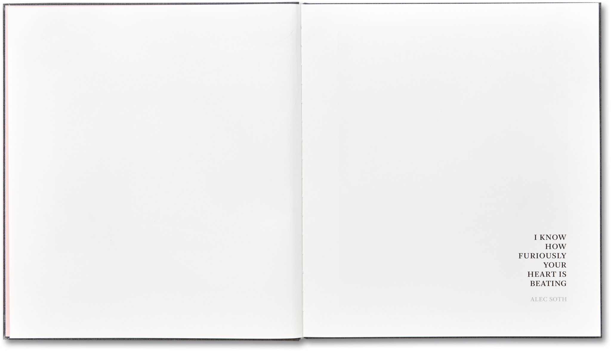 Alec Soth 'I Know How Furiously Your Heart is Beating