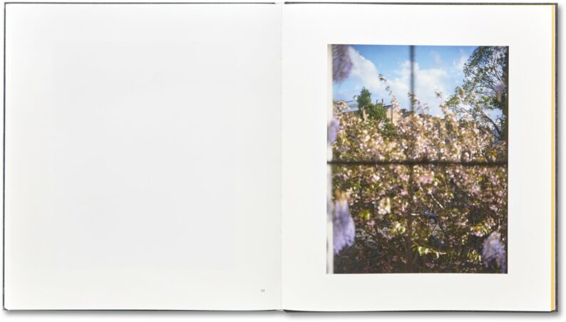 Alec Soth 'I Know How Furiously Your Heart is Beating' - Image 22
