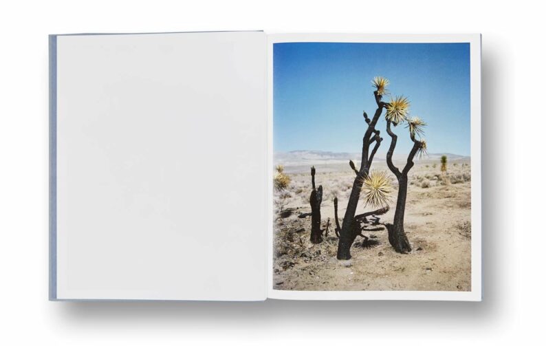Gregory Halpern 'ZZYZX' - Image 16