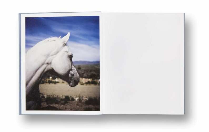 Gregory Halpern 'ZZYZX' - Image 14