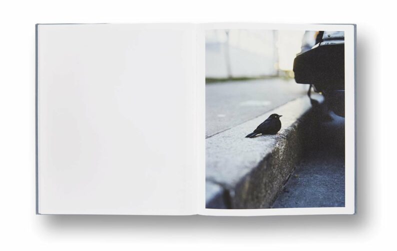 Gregory Halpern 'ZZYZX' - Image 10