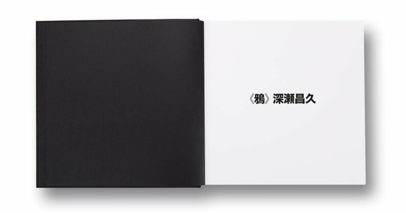 Masahisa Fukase 'Ravens' - Image 3