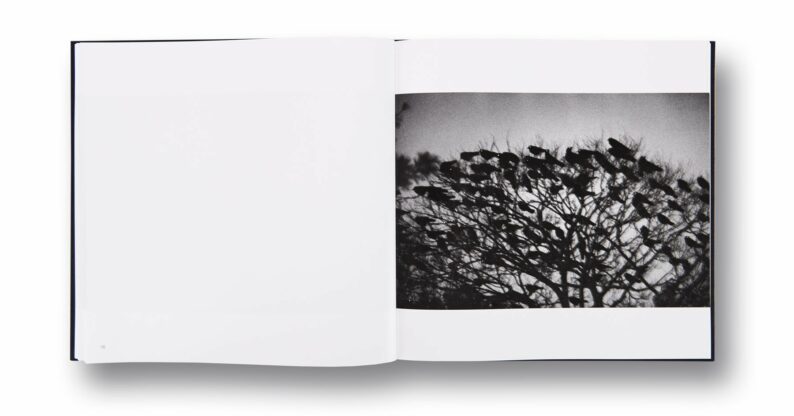 Masahisa Fukase 'Ravens' - Image 13