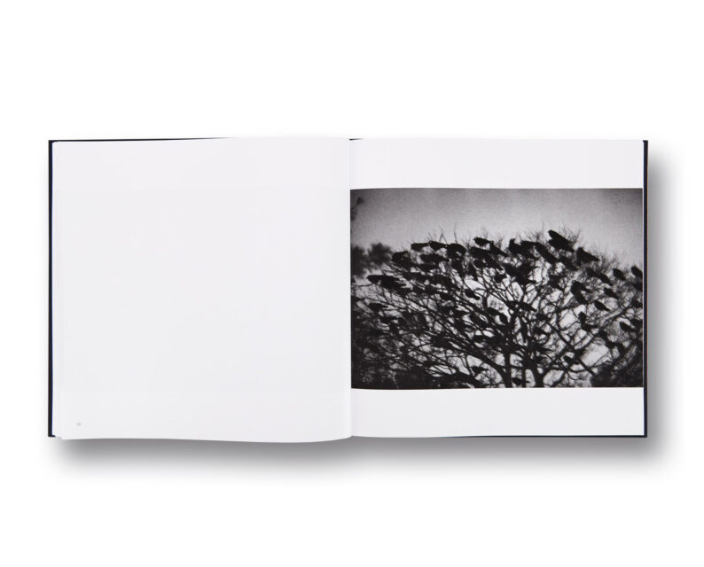 Masahisa Fukase 'Ravens' - Image 2