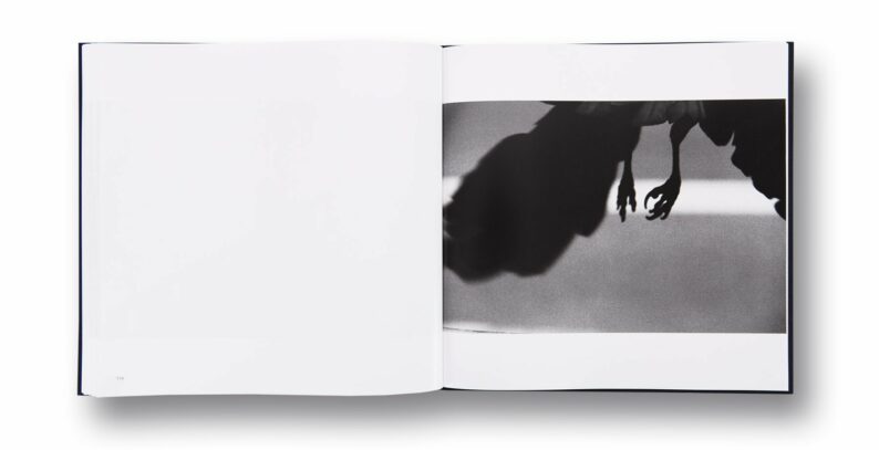 Masahisa Fukase 'Ravens' - Image 16