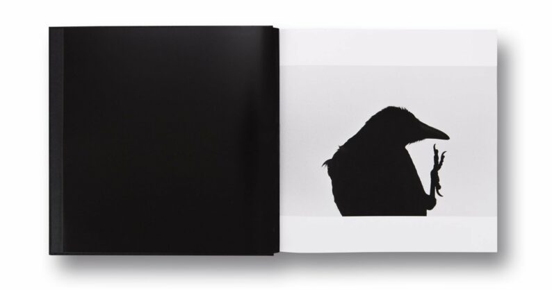 Masahisa Fukase 'Ravens' - Image 4