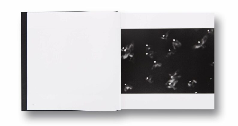 Masahisa Fukase 'Ravens' - Image 5