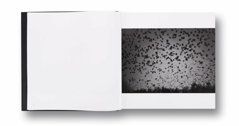 Masahisa Fukase 'Ravens' - Image 6