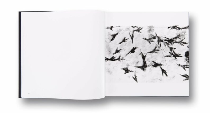 Masahisa Fukase 'Ravens' - Image 8