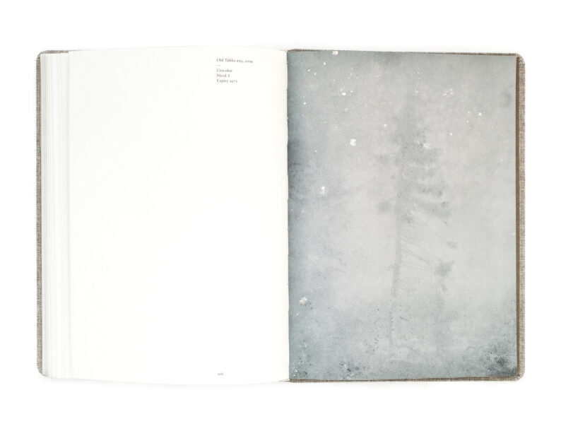 Nicolai Howalt 'Old Tjikko' (signed) - Image 8
