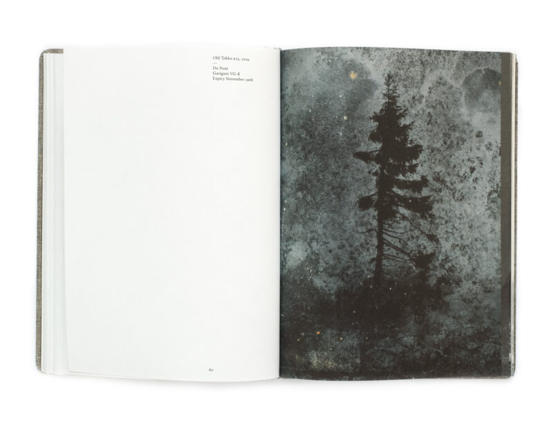 Nicolai Howalt 'Old Tjikko' (signed) - Image 10