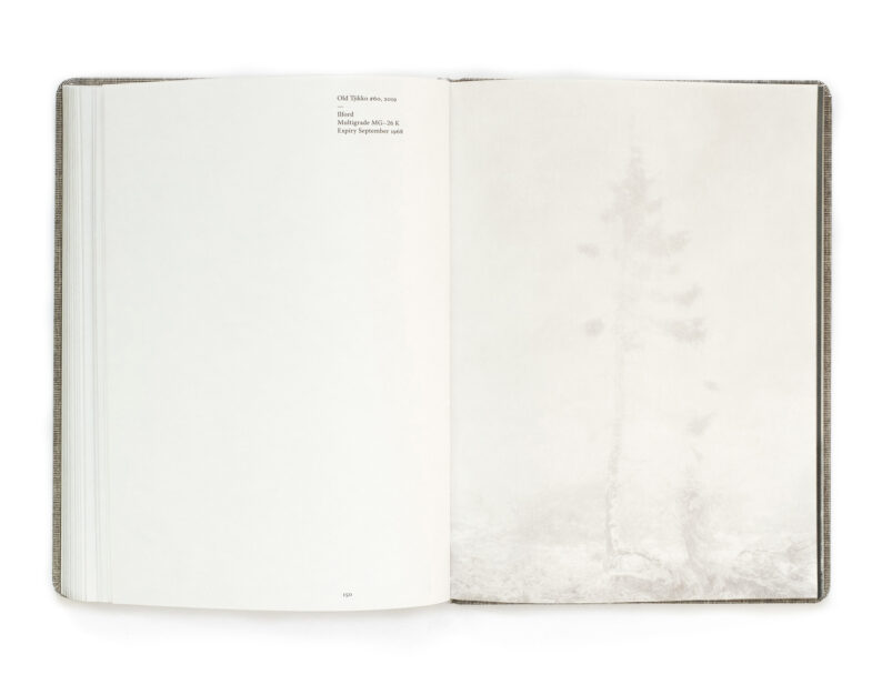 Nicolai Howalt 'Old Tjikko' (signed) - Image 5