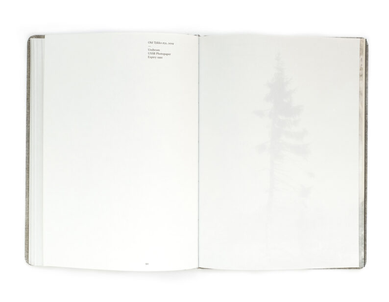 Nicolai Howalt 'Old Tjikko' (signed) - Image 9