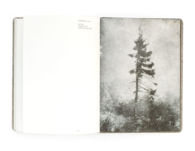 Nicolai Howalt 'Old Tjikko' (signed) - Image 2