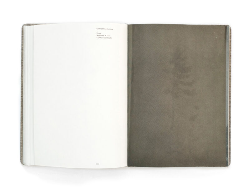 Nicolai Howalt 'Old Tjikko' (signed) - Image 7