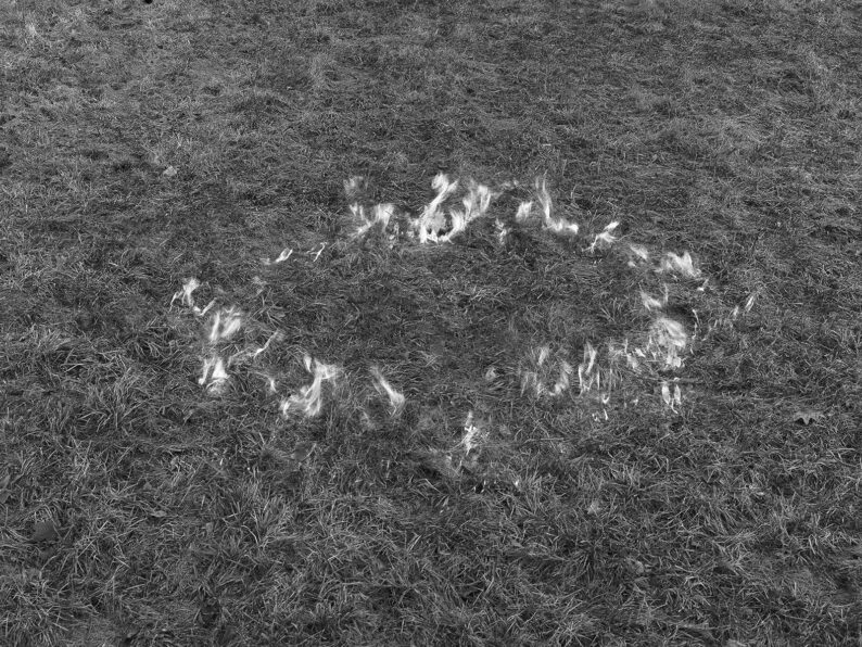 Dylan Hausthor & Paul Guilmoth 'Sleep Creek' - Image 7