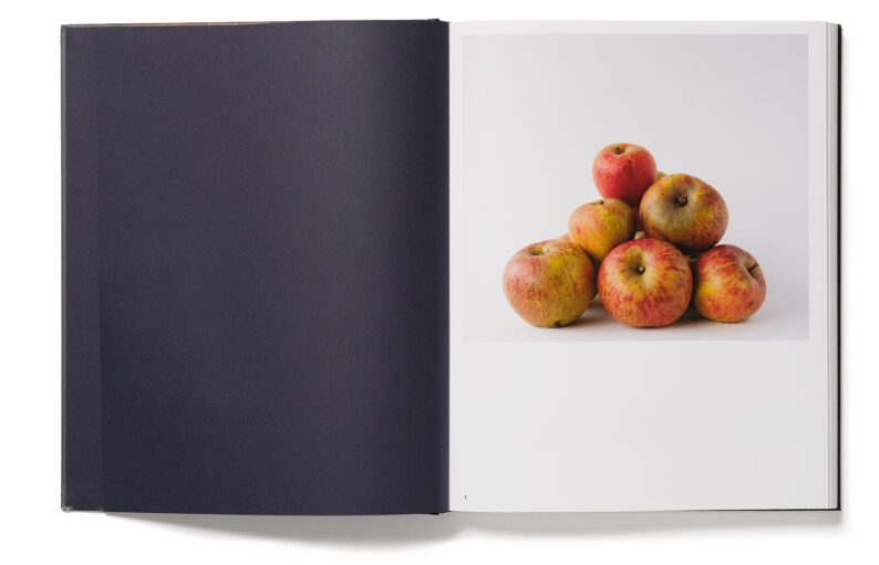 Trine Søndergaard '203 works' (signed) - Image 18