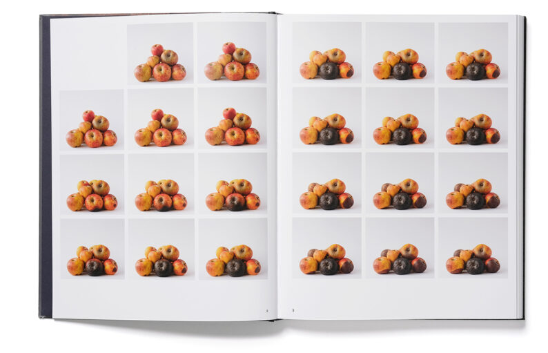 Trine Søndergaard '203 works' (signed) - Image 17