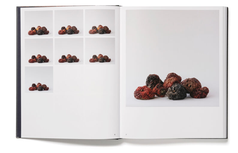 Trine Søndergaard '203 works' (signed) - Image 16