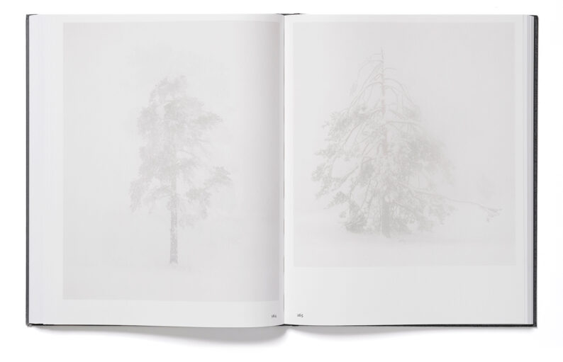 Trine Søndergaard '203 works' (signed) - Image 11