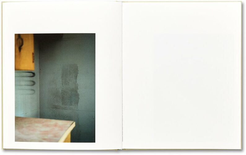 Raymond Meeks 'ciprian honey cathedral' (signed) - Image 13