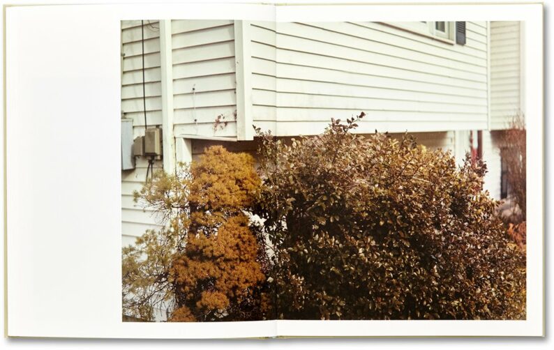 Raymond Meeks 'ciprian honey cathedral' (signed) - Image 14