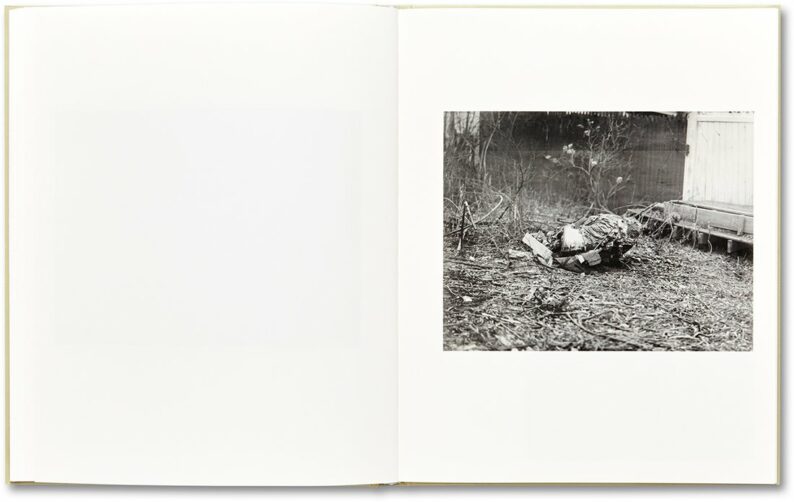 Raymond Meeks 'ciprian honey cathedral' (signed) - Image 16