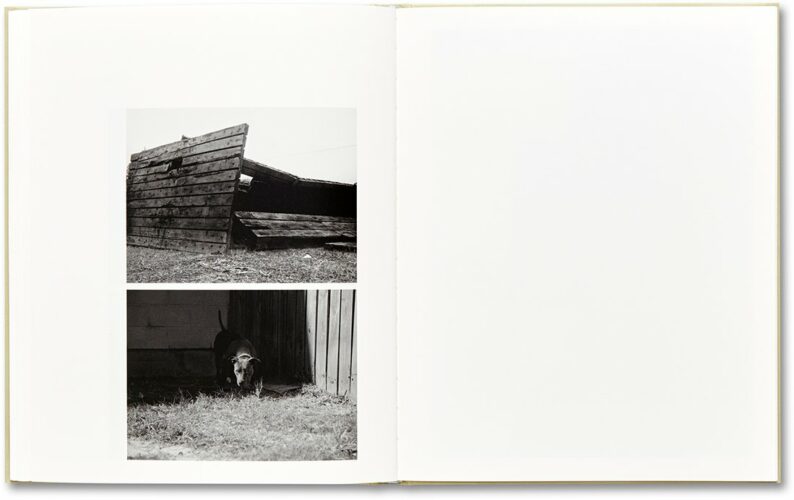 Raymond Meeks 'ciprian honey cathedral' (signed) - Image 17