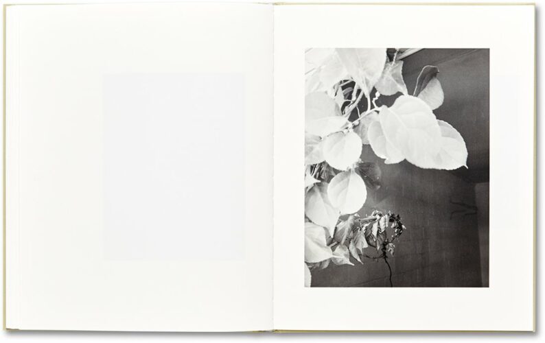 Raymond Meeks 'ciprian honey cathedral' (signed) - Image 19