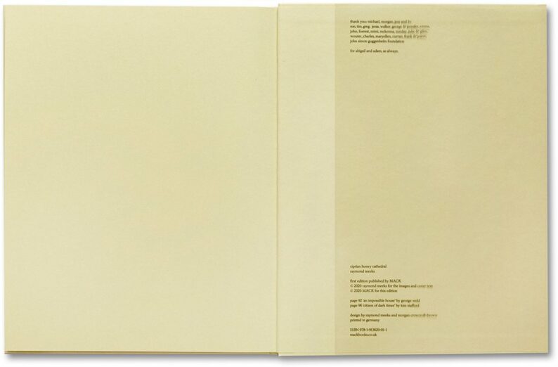 Raymond Meeks 'ciprian honey cathedral' (signed) - Image 26