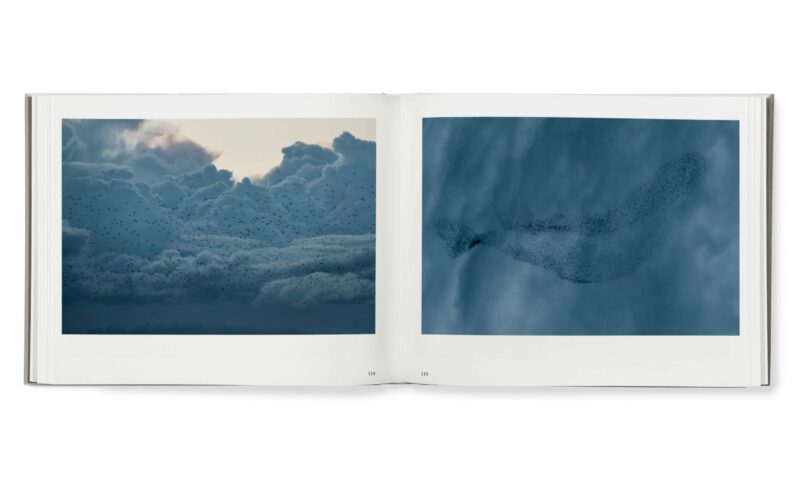 Søren Solkær 'Black Sun' - Image 10