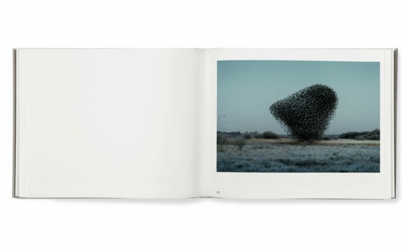 Søren Solkær 'Black Sun' - Image 11