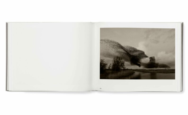 Søren Solkær 'Black Sun' - Image 12
