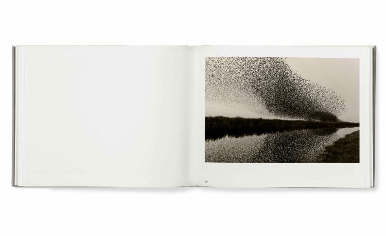 Søren Solkær 'Black Sun' - Image 14