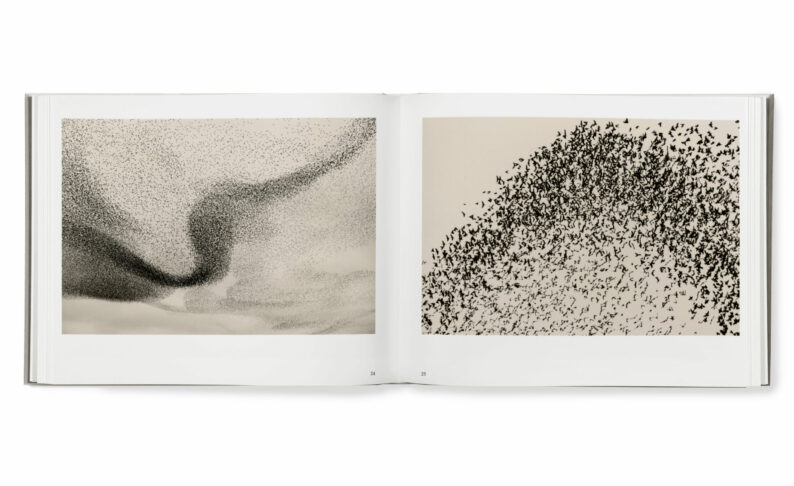 Søren Solkær 'Black Sun' - Image 3