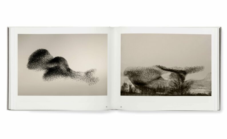 Søren Solkær 'Black Sun' - Image 5