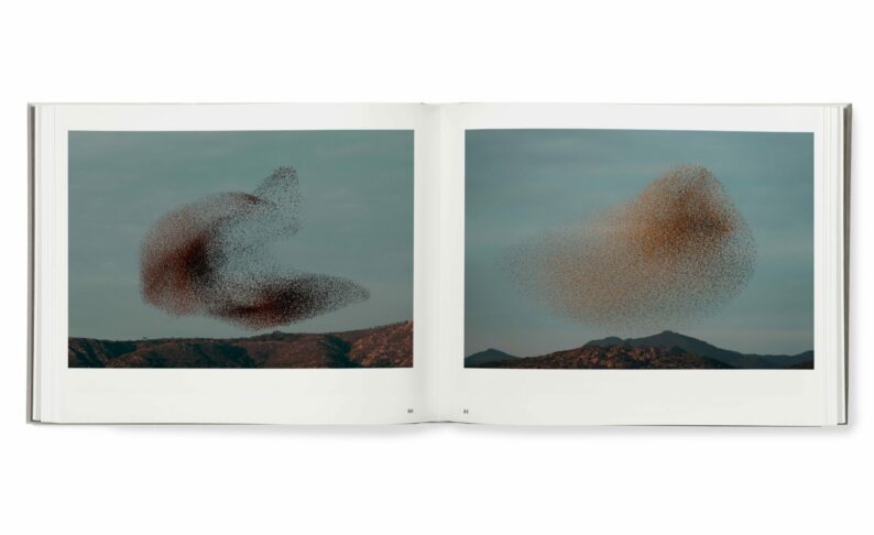 Søren Solkær 'Black Sun' - Image 7