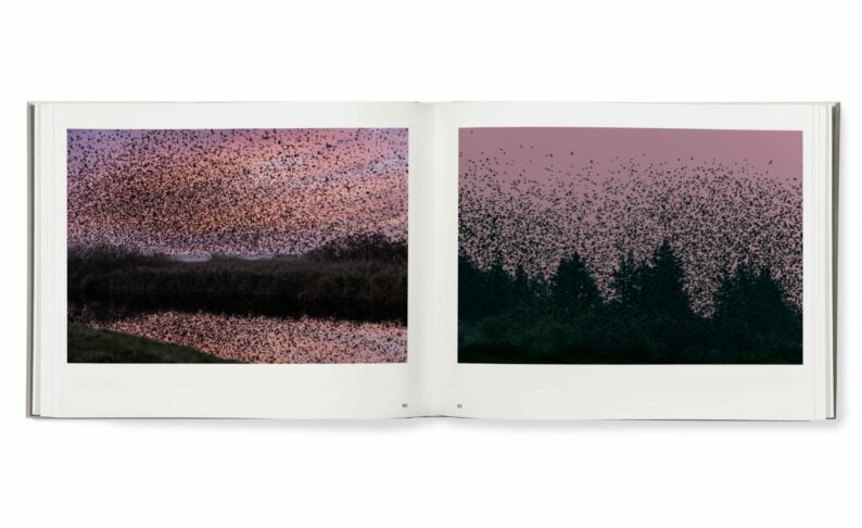 Søren Solkær 'Black Sun' - Image 8
