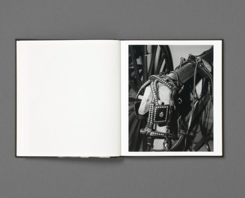 Rahim Fortune 'I can’t stand to see you cry' - Image 23