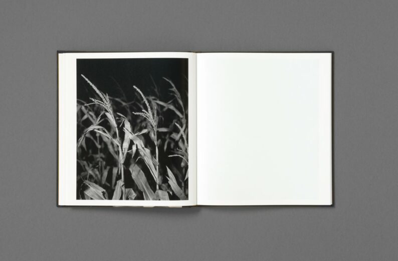 Rahim Fortune 'I can’t stand to see you cry' - Image 38