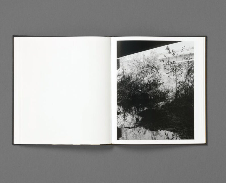 Rahim Fortune 'I can’t stand to see you cry' - Image 13