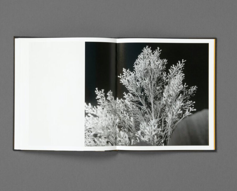 Rahim Fortune 'I can’t stand to see you cry' - Image 6