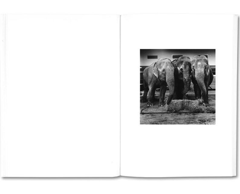 Moyra Davey & Peter Hujar 'The Shabbiness of Beauty' (signed) - Image 10