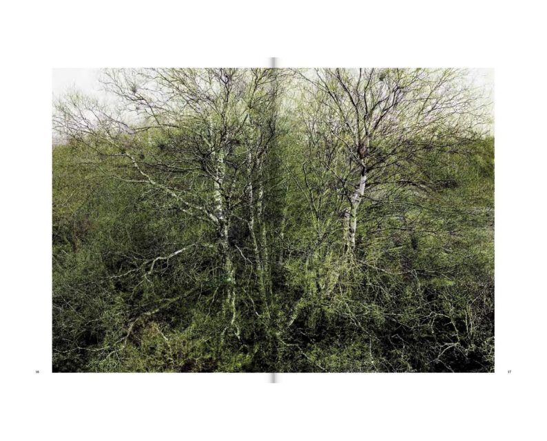 Santeri Tuori 'Time Is No Longer Round' - Image 5