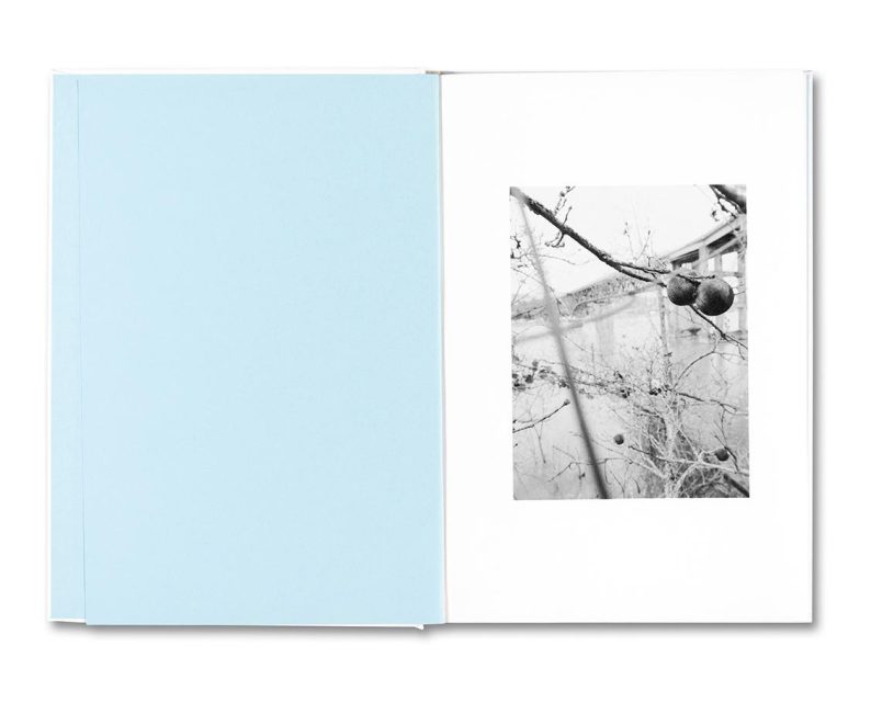Raymond Meeks 'Somersault' - Image 2