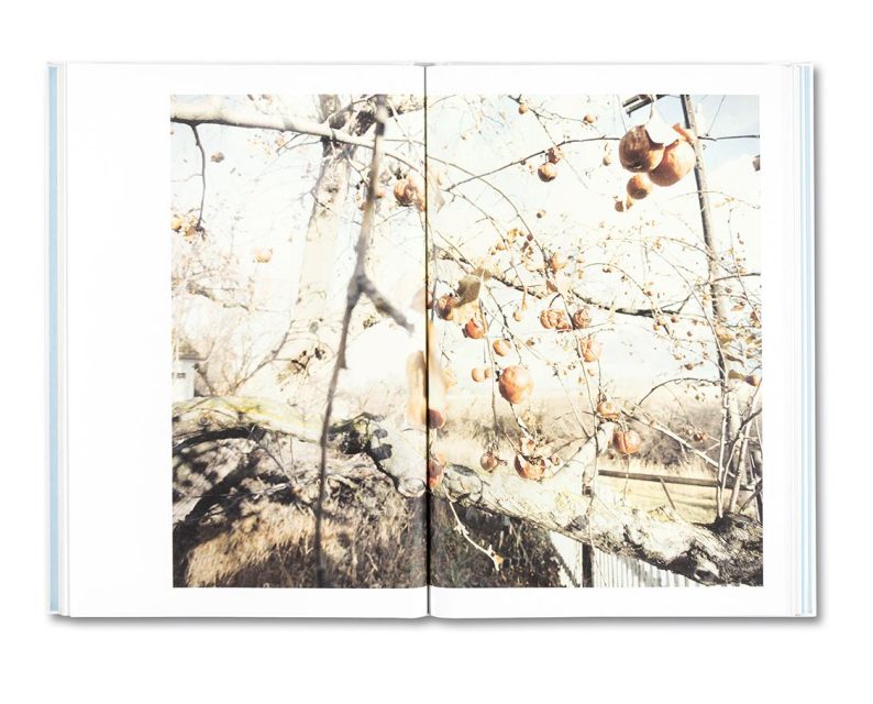 Raymond Meeks 'Somersault' - Image 11