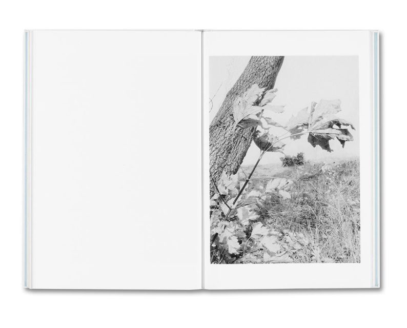 Raymond Meeks 'Somersault' - Image 16