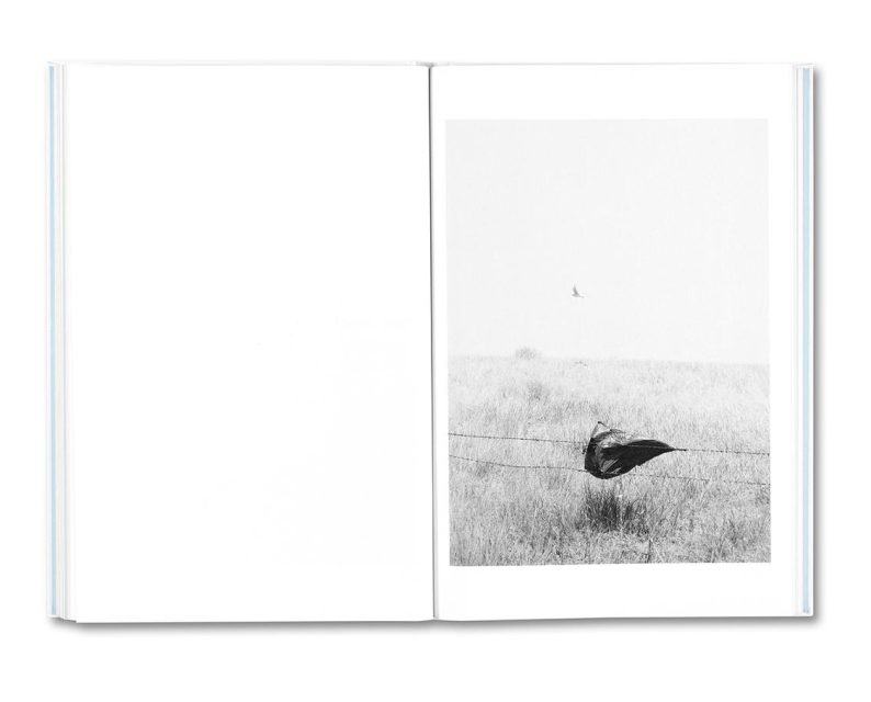 Raymond Meeks 'Somersault' - Image 17