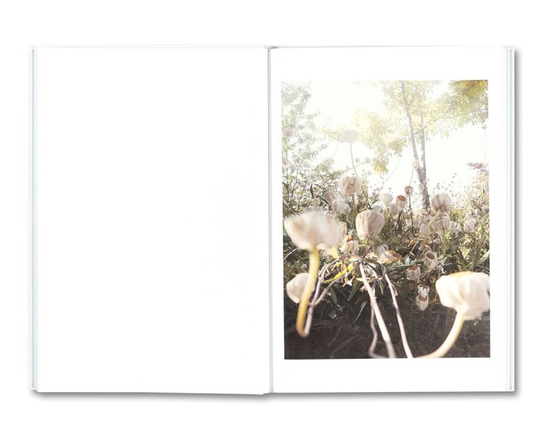 Raymond Meeks 'Somersault' - Image 9